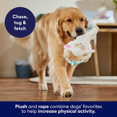 Show full view: Frisco Easter Spring Lamb Plush with Rope Squeaky Dog Toy, Medium/Large slide 5 of 9