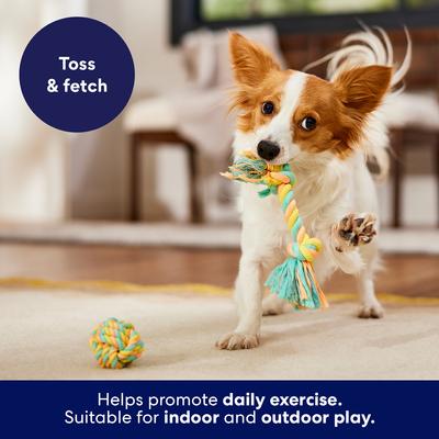 Show full view: Frisco Easter Double Knot & Rope Ball Dog Toy, Medium, 2 count slide 4 of 7