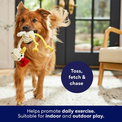 Show full view: Frisco Easter Spring Chicken Rope Dog Toy, Small/Medium slide 4 of 7
