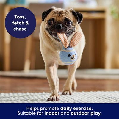 Show full view: Frisco Easter Bunny Fetch Squeaky Tennis Ball Dog Toy, Medium, 1 count slide 4 of 8