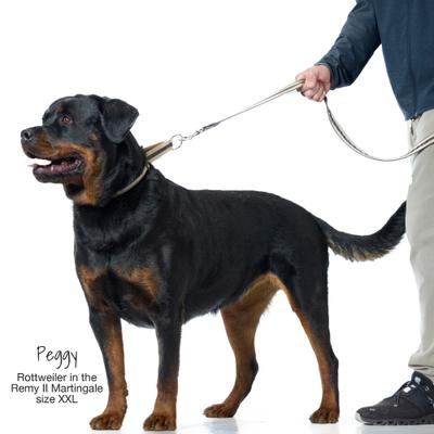 Show full view: Pet Passion Remy II Ribbon Camo Pattern Martingale Dog Collar, Navy, Large: 15 to 18-in neck, 1-in wide slide 5 of 5