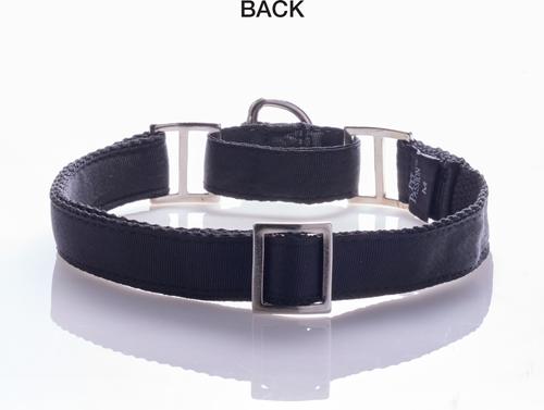 Show full view: Pet Passion Remy II Ribbon Martingale Dog Collar, Black, Large: 15 to 18-in neck, 1-in wide slide 3 of 5