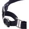 Show in main carousel: Pet Passion Remy II Ribbon Martingale Dog Collar, Black, Large: 15 to 18-in neck, 1-in wide slide 4 of 5