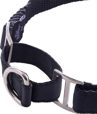 Show full view: Pet Passion Remy II Ribbon Martingale Dog Collar, Black, Large: 15 to 18-in neck, 1-in wide slide 4 of 5
