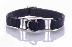 Pet Passion Remy II Ribbon Martingale Dog Collar, Black, Small: 11 to 14-in neck, 3/4-in wide