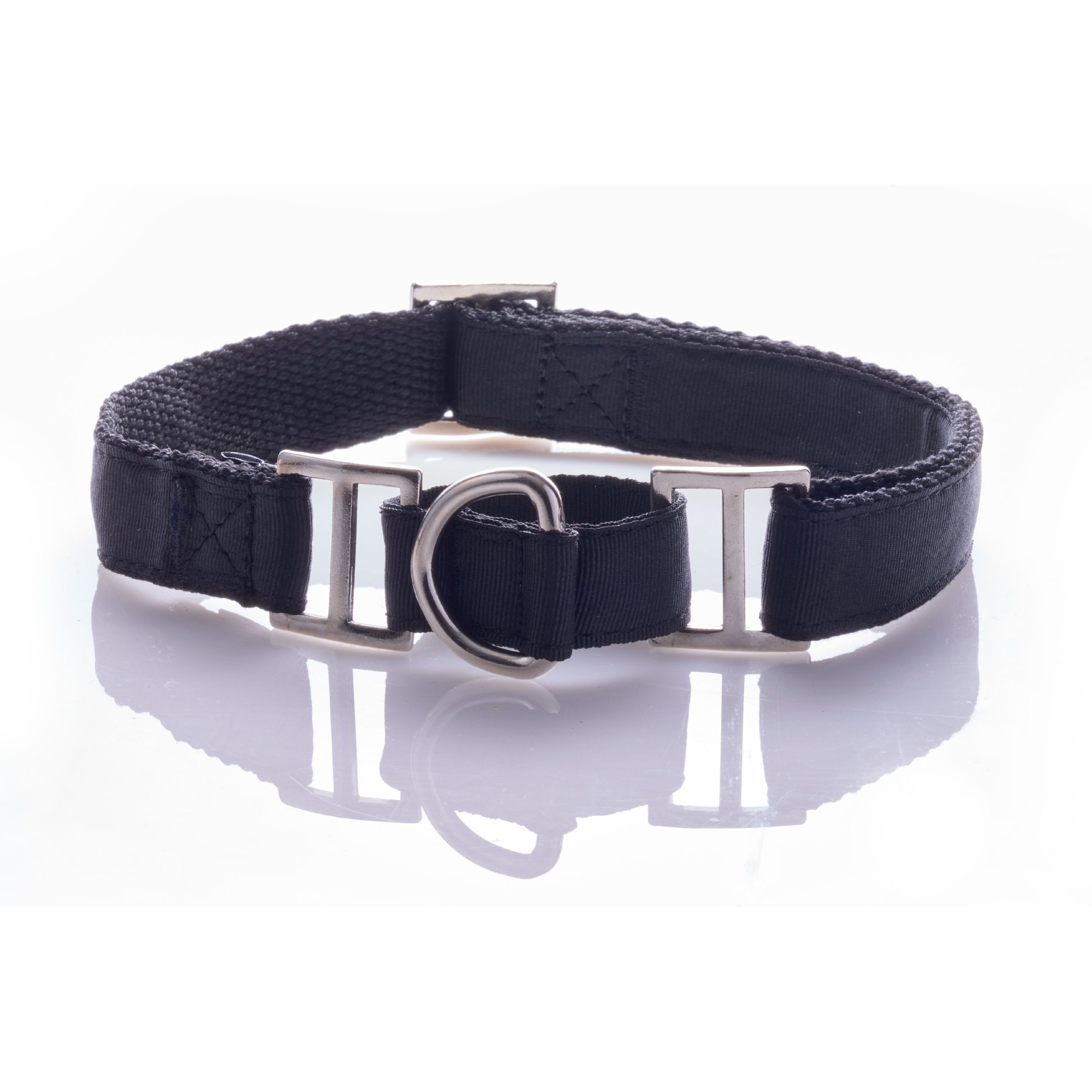 Pet Passion Remy II Ribbon Martingale Dog Collar, Black, Large: 15 to 18-in neck, 1-in wide