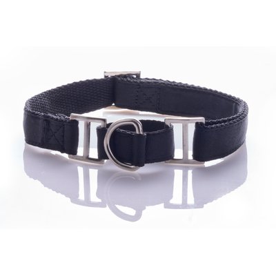 Pet Passion Pet Passion Remy II Ribbon Martingale Dog Collar, Black, Large: 15 to 18-in neck, 1-in wide