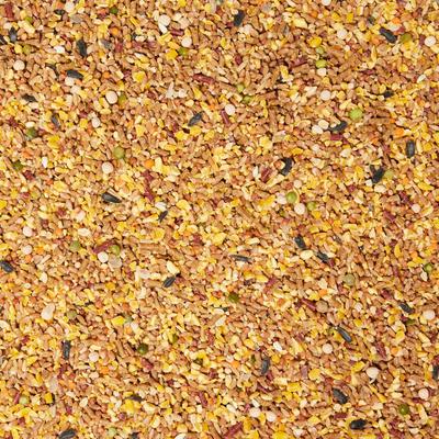 Show full view: Don Roberto Cracked Corn 14% Protein Gamebird & Poultry Grain Feed, 50-lb bag slide 3 of 4