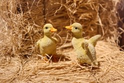 Hi-Line Gift Ducklings Statue, 4.53-in