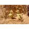 Show in main carousel: Hi-Line Gift Ducklings Statue, 4.53-in slide 1 of 9