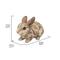 Show in main carousel: Hi-Line Gift Driftwood Rabbit Statue, 8.86-in slide 7 of 9