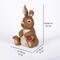 Show in main carousel: Hi-Line Gift Rabbit Sitting with Ladybug Statue, 12-in slide 9 of 9