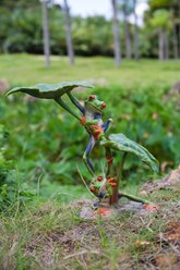 Hi-Line Gift Lotus Leaf with Red-Eyed Tree Frog Statue, 11.81-in