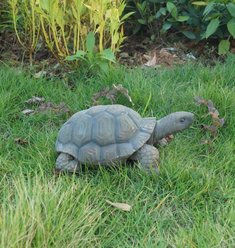 Hi-Line Gift Turtle Statue, 10-in slide 2 of 4