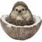Show in main carousel: Hi-Line Gift Coconut Hedgehog Statue, 3.94-in slide 2 of 8