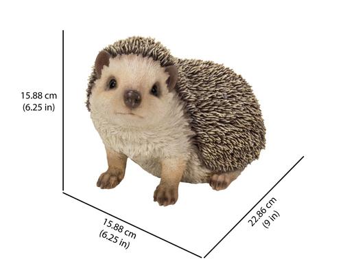 Show full view: Hi-Line Gift Crawling Hedgehog Statue, 6.25-in slide 6 of 6