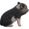 Show in main carousel: Hi-Line Gift Sitting Baby Pig Statue, Pink & Dark Brown, 6-in slide 3 of 8