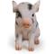 Show in main carousel: Hi-Line Gift Sitting Baby Pig Statue, Pink & Black, 6-in slide 2 of 8