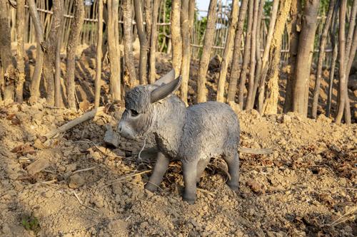 Show full view: Hi-Line Gift Standing Donkey Looking Right Statue, Gray, 12.4-in slide 7 of 11