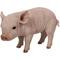 Show in main carousel: Hi-Line Gift Standing Baby Pig Statue, Pink, 9-in slide 2 of 7