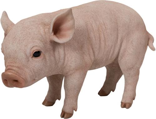 Show full view: Hi-Line Gift Standing Baby Pig Statue, Pink, 9-in slide 2 of 7