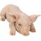 Show in main carousel: Hi-Line Gift Pig Sleeping Statue, 3.75-in slide 2 of 7