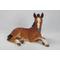 Show in main carousel: Hi-Line Gift Horse Colt Laying Down Statue, 16.75-in slide 2 of 7