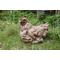 Show in main carousel: Hi-Line Gift Driftwood Squatting Hen Statue, 7.48-in slide 1 of 9