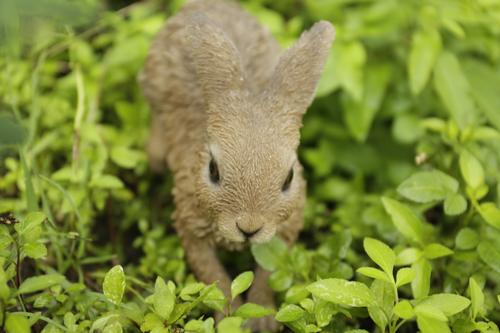 Show full view: Hi-Line Gift Hare Cub Running Statue, 6.22-in slide 7 of 9