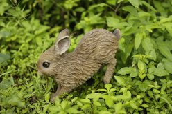 Hi-Line Gift Hare Cub Running Statue, 6.22-in