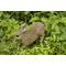 Show in main carousel: Hi-Line Gift Hare Cub Running Statue, 6.22-in slide 1 of 9