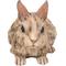 Show in main carousel: Hi-Line Gift Driftwood Rabbit Statue, 8.86-in slide 2 of 9