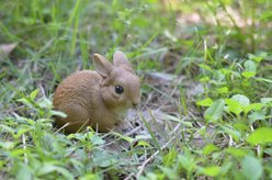 Hi-Line Gift Small Sitting Rabbit Statue, 3.82-in