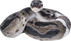 Hi-Line Gift Regius Ball Python Statue, 3.86-in slide 2 of 7