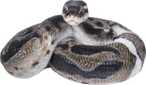 Show full view: Hi-Line Gift Regius Ball Python Statue, 3.86-in slide 2 of 7