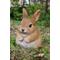 Show in main carousel: Hi-Line Gift Chubby Rabbit Standing Statue, 6.3-in slide 1 of 10