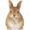 Show in main carousel: Hi-Line Gift Chubby Rabbit Standing Statue, 6.3-in slide 2 of 10