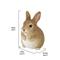 Show in main carousel: Hi-Line Gift Chubby Rabbit Standing Statue, 6.3-in slide 7 of 10