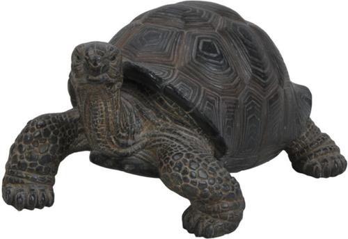 Show full view: Hi-Line Gift Tortoise Statue, 6.5-in slide 4 of 6