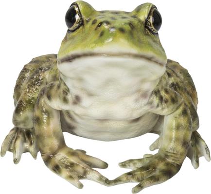 Show full view: Hi-Line Gift American Bullfrog Statue, 4.84-in slide 2 of 8