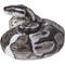 Show in main carousel: Hi-Line Gift Regius Ball Python Statue, 3.86-in slide 3 of 7