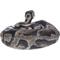 Show in main carousel: Hi-Line Gift Regius Ball Python Statue, 3.86-in slide 5 of 7