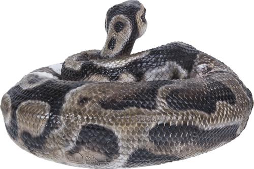 Show full view: Hi-Line Gift Regius Ball Python Statue, 3.86-in slide 5 of 7