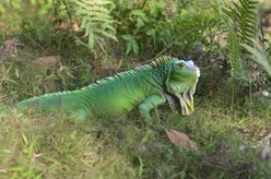 Hi-Line Gift Iguana Statue, 24.25-in