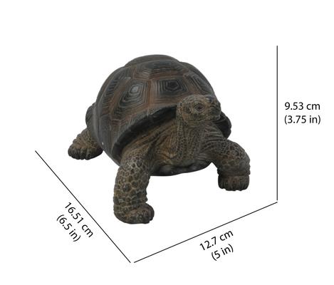 Show full view: Hi-Line Gift Tortoise Statue, 6.5-in slide 6 of 6