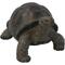 Show in main carousel: Hi-Line Gift Tortoise Statue, 6.5-in slide 2 of 6