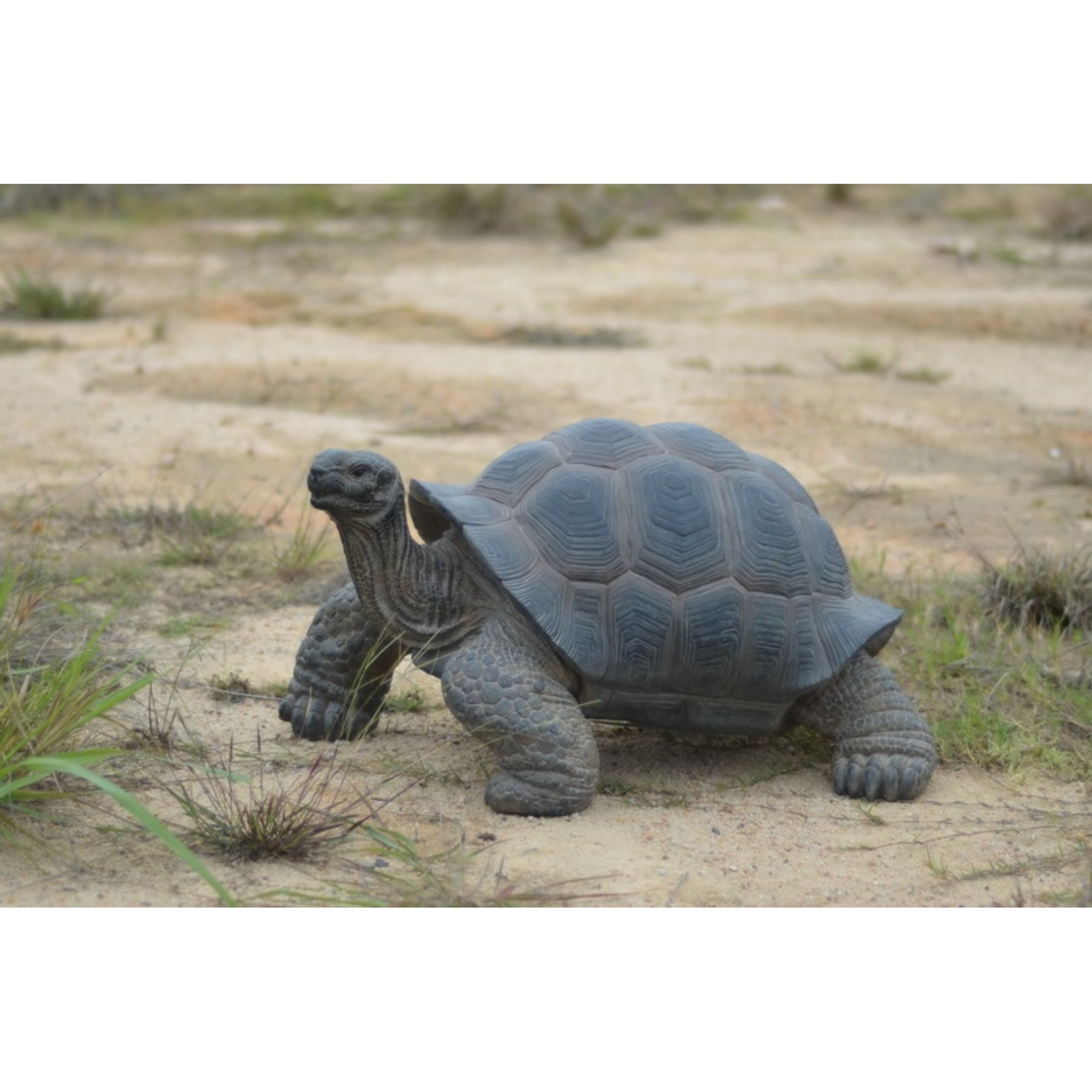Hi-Line Gift Tortoise Statue, 27-in