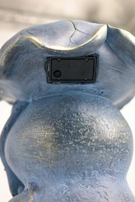 Show full view: Hi-Line Gift Frog Garden Statue Plant Stand with Solar Light, 18.5-in slide 9 of 9