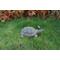 Show in main carousel: Hi-Line Gift Turtle Statue, 10-in slide 1 of 4