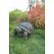 Show in main carousel: Hi-Line Gift Turtle Statue, 21-in slide 6 of 7